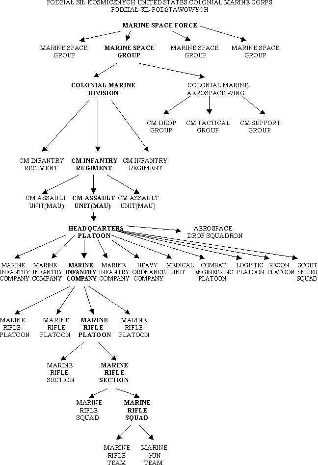 :Podzial USCMC